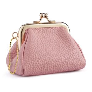 Small Clip Locking Coin Purse