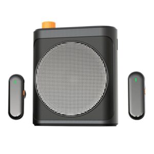 M29 Dual Mic Portable Wireless Lavalier Microphone Teaching Voice Amplifier, M29