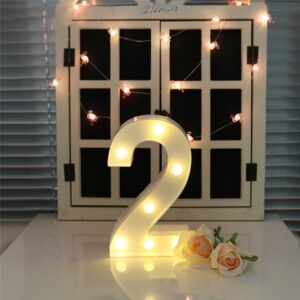 Dry Battery Powered Warm White Standing Hanging Holiday Light, LED6214A, LED6214B, LED6214C, LED6214D, LED6214E, LED6214F, LED6214G, LED6214H, LED6214J, LED6214K