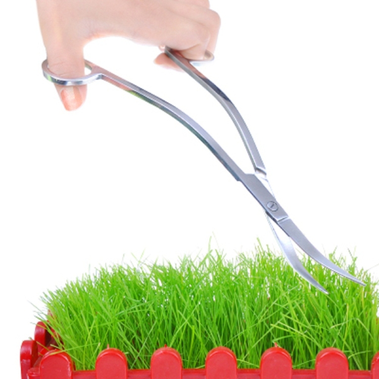 Water Grass Tool Aquarium Stainless Steel Wave Shaped Scissors Lengthened Tweezers, Wave Shaped Scissors - Image 4
