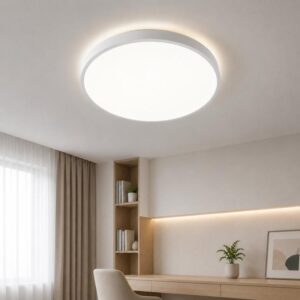 Slim LED Ceiling Light 3-Color Dimmable Round Flush Mount Light Fixture for Bedroom, FSL 25W 35cm White, FSL 25W 35cm Black, FSL 36W 45cm White, FSL 36W 45cm Black